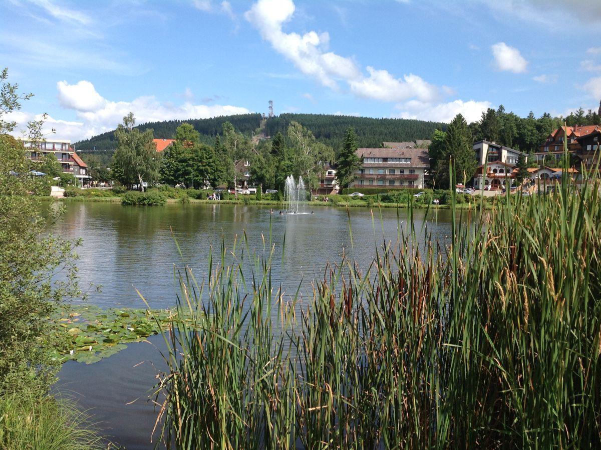Bocksbergblick Fewo Auszeit Goslar Ngoại thất bức ảnh